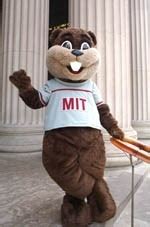 Beaver mascot attire